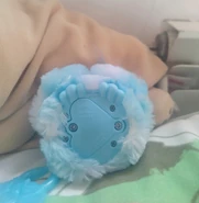 Bottom View