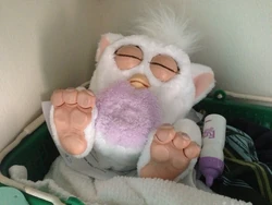 Sleepy Purple Emoto-Tronic Furby Baby | Official Furby Wiki | Fandom