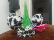 Back view