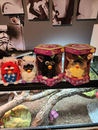 Sunrise next to a Magic 8 Ball, Bandit, and Fresh Patriotic Furbys