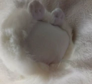 Screenshot (225).png (127 KB)