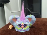 Front View