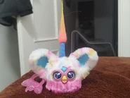 Front view