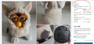 Discolored Lamb (its face is orange)
