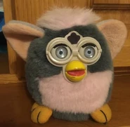 Leopard fake.jpg (68 KB)