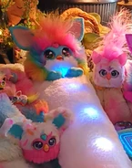 Bee-Day near the Rainbow DJ Furby, Berry-Cup-Cake and some other Furbys