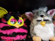 A Straight Stripes Furby Boom next to a Church Mouse Furby