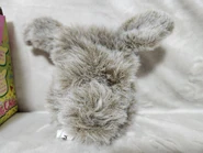 M64652745363 7.jpg (135 KB) back