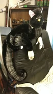 @well-i-guess-i-own-a-furby-now