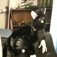 world's longest furby