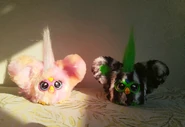 Greenie-Meanie on the dark side and May-May on the light side