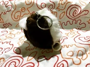 The Backside of a Hoody Pet
