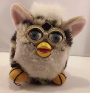 Fake snow leopard.jpg (126 KB)