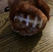 IMG 4149.jpeg (86 KB)