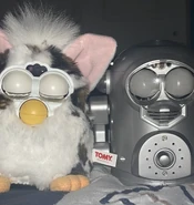 Space Robby next to Japanese Snow Leopard Furby
