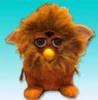Lionfurbyimg