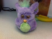 2005 Funky Furby (Purple/Green)