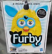 The box with yellow eyelids