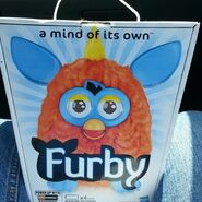 The box in real life