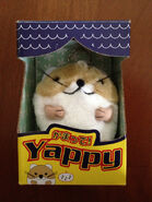 Yappy in box.