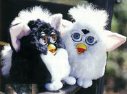 A Snowball Furby next to a Skunk Furby.