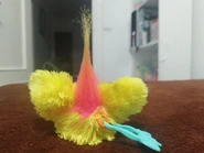 Back view
