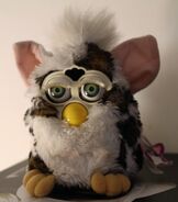 A photo of a Snow Leopard Furby with green eyes (photo taken by @Angel-nee on Tumblr)