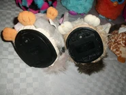 4085279475.jpg (415 KB)