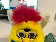 primary furby