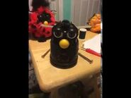 Autumn Furby with the glitch frozen and humming