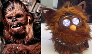 Furbacca being compared with Chewbacca