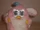Habby (Furby Fake)