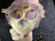 One of the faceplate 1998 Furby’s made by Jetta use