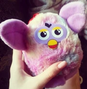 Purple angel toys plush.jpg (88 KB)