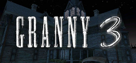 Steam Header