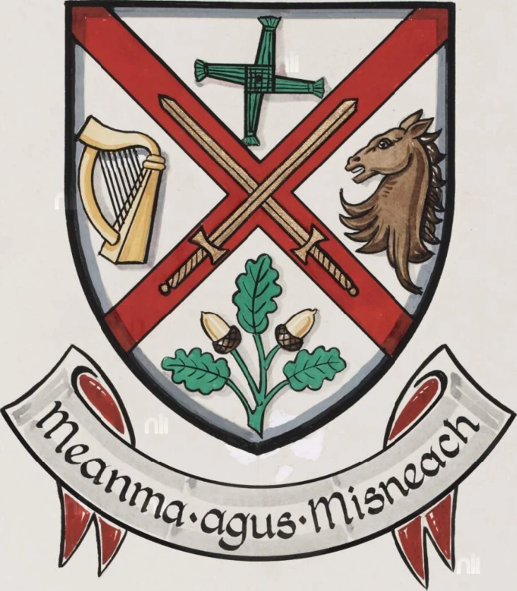Kildare County Council Sourced Blazons Wiki Fandom