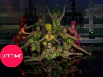 Rainforest dancin tunes on sale