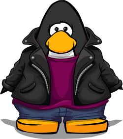Black penguin jacket shop