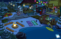 Disney Club Penguin Water First Wave 64/110 White Puffle Room on eBid  United States