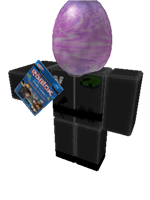 Gameplayer S Survival 404 Guide The Official Survival 404 Wiki Fandom - roblox survival 404