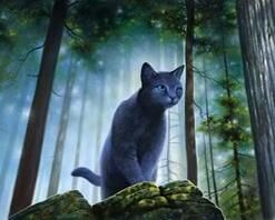 Bluestar  Warrior Cats