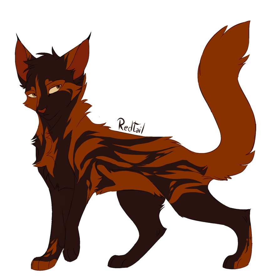 Redtail, Warrior cats Wiki