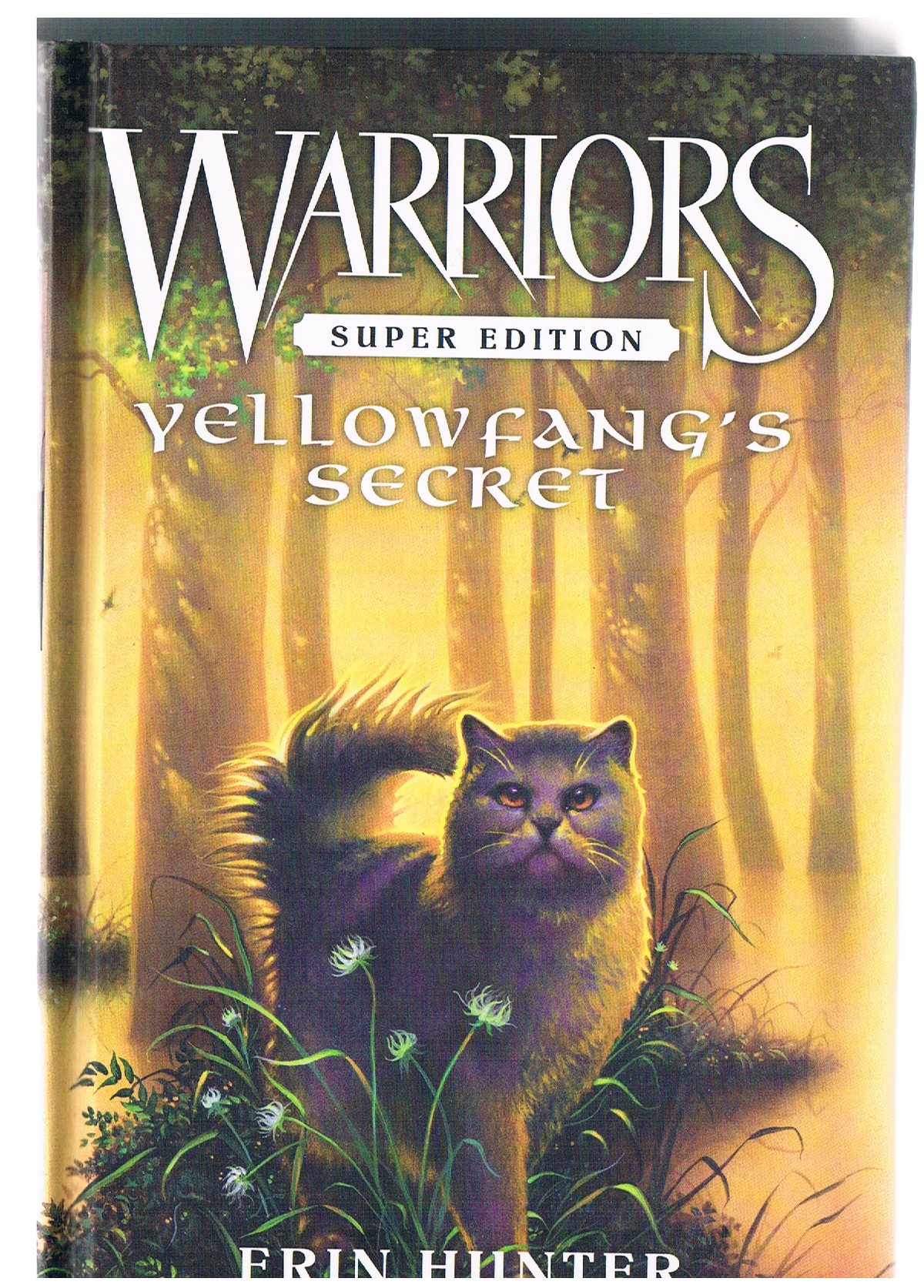 Warriors Super Edition: Yellowfang's Secret (Paperback