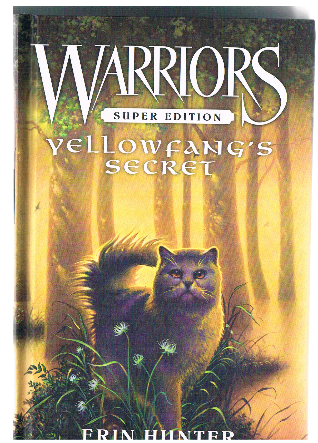 Warriors Super Edition: Yellowfang's Secret (Warriors Super Edition, 5)