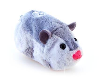 Hamsters, Zhu Zhu Pets Wiki