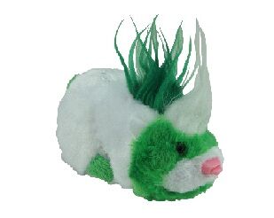 ZhuZhu Rockstar, Official ZhuZhu Pets Wiki