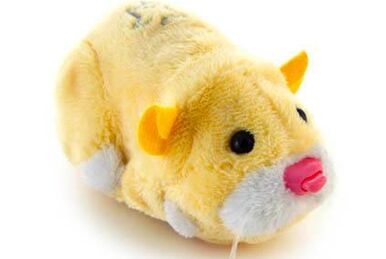 Nugget zhu zhu pet hot sale