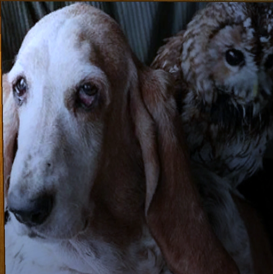 Stew Leonards OffPeak Wiki Fandom