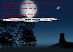Gattonero11.jpg