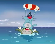 Cats overboard!.jpg (32 KB)